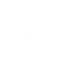 Lily & Lucy Co logo