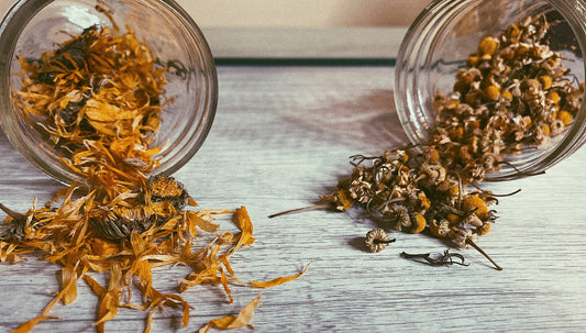 Calendula and Chamomile: Herbs Worth Knowing