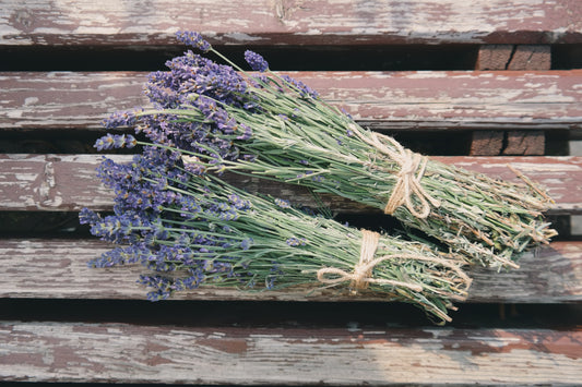Lavender: Uses, Benefits, and Interactions
